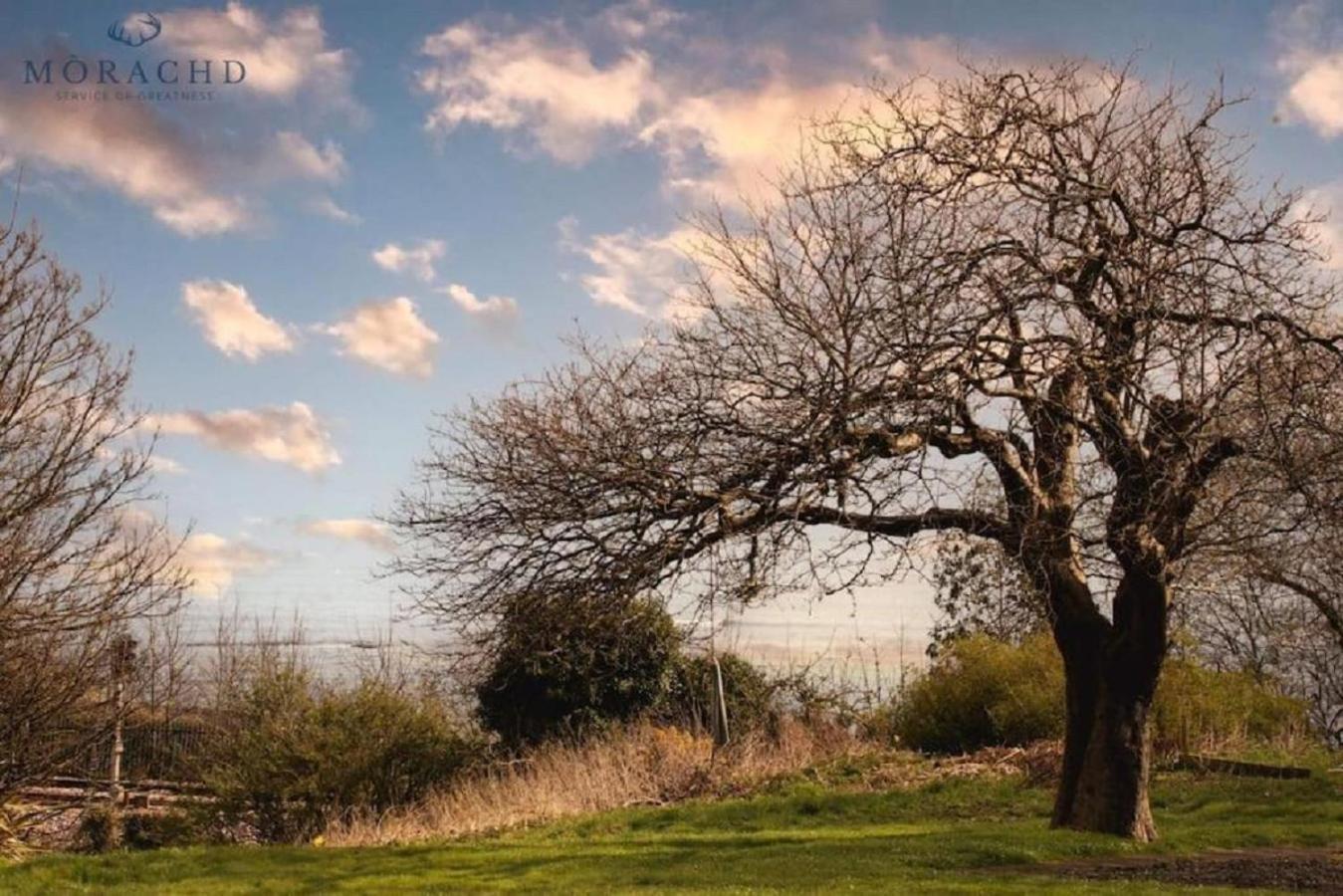 Linton Daire Kinghorn Dış mekan fotoğraf